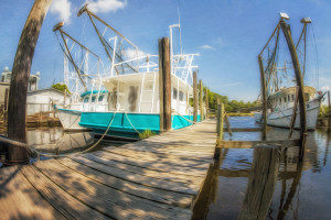 Fisheye Wharf 